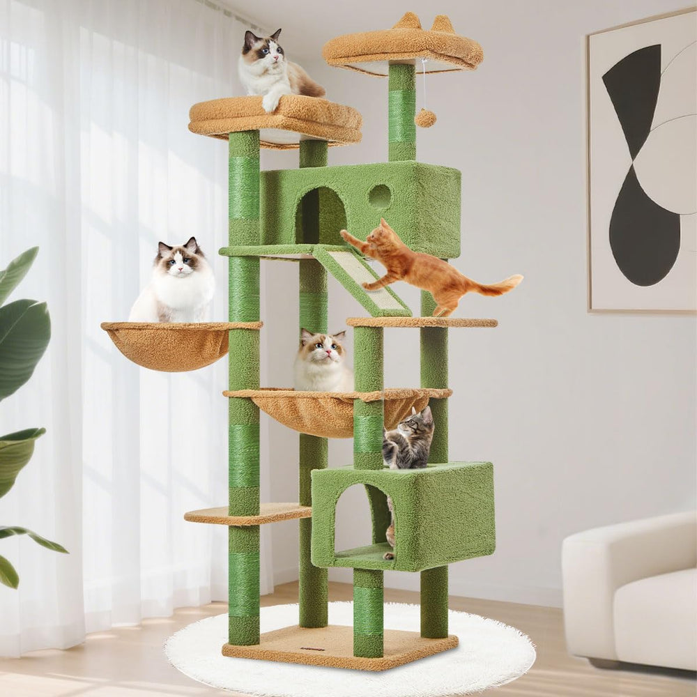 Taoqimiao cactus cat tree 71-inch front view showing multi-cat lounging space
