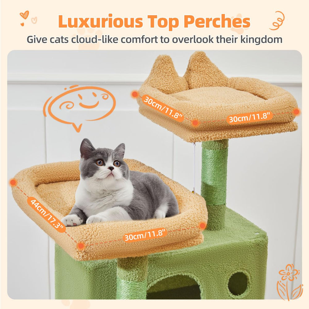 Two top perches on Taoqimiao cactus cat tree for elevated views