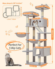 Taoqimiao cat tree private apartments offering cozy retreat spaces
