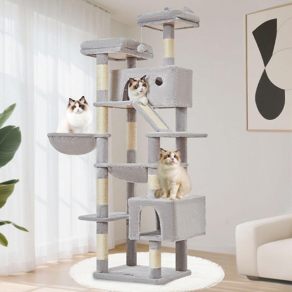 Taoqimiao cat tree top perch view with elevated vantage for curious cats