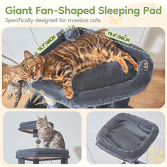 Taoqimiao widened resting condo gives large cats room to stretch comfortably.