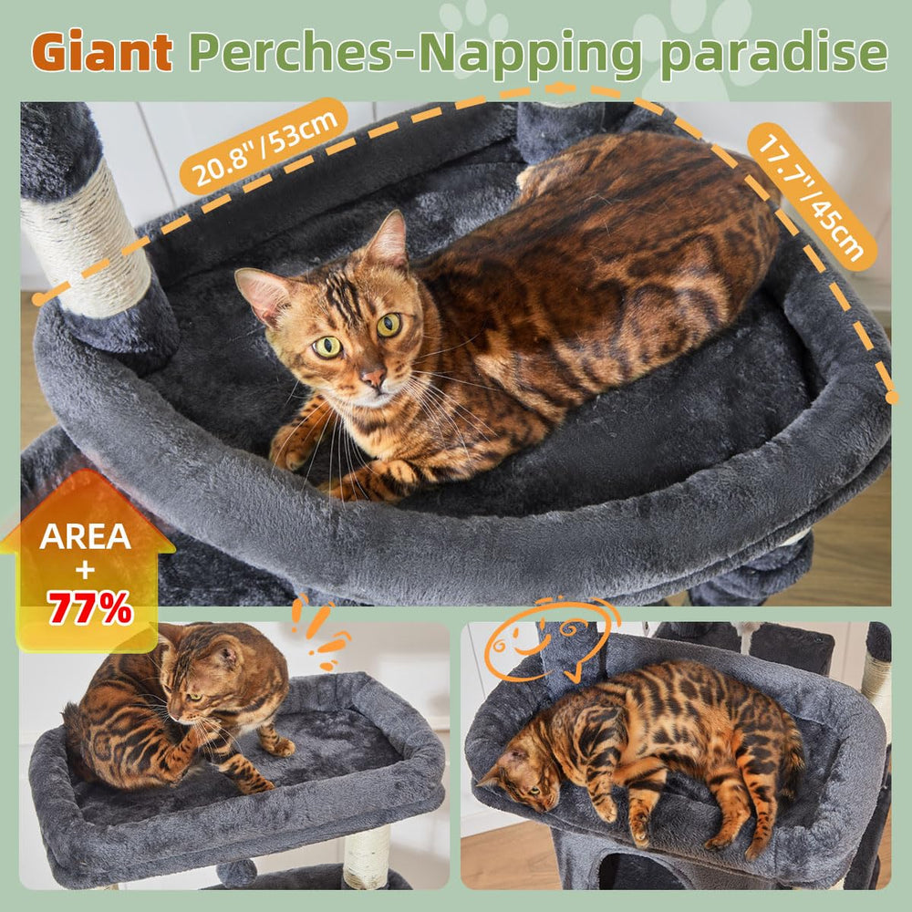 Taoqimiao giant lookout perch offers high vantage for curious cats.