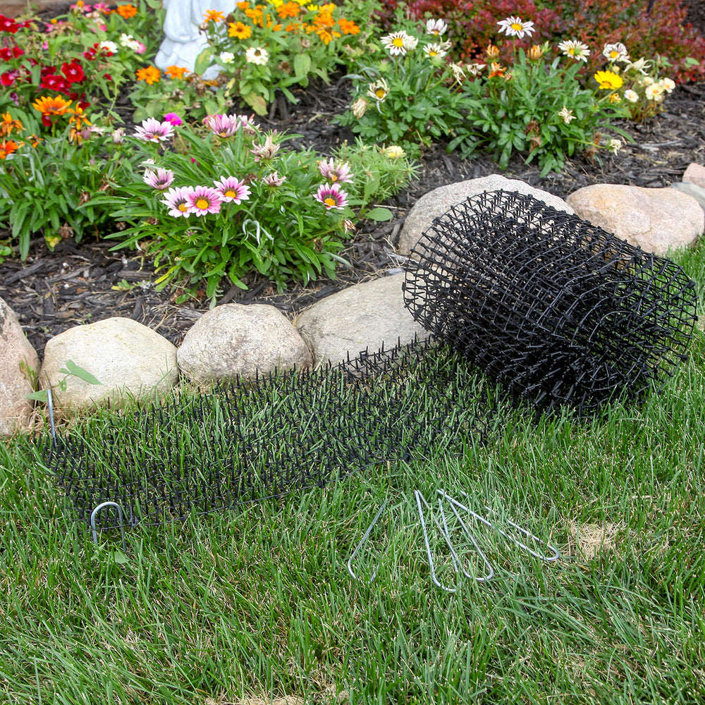 Tapix Cat Scat Mat around pots shields planters from scratches.