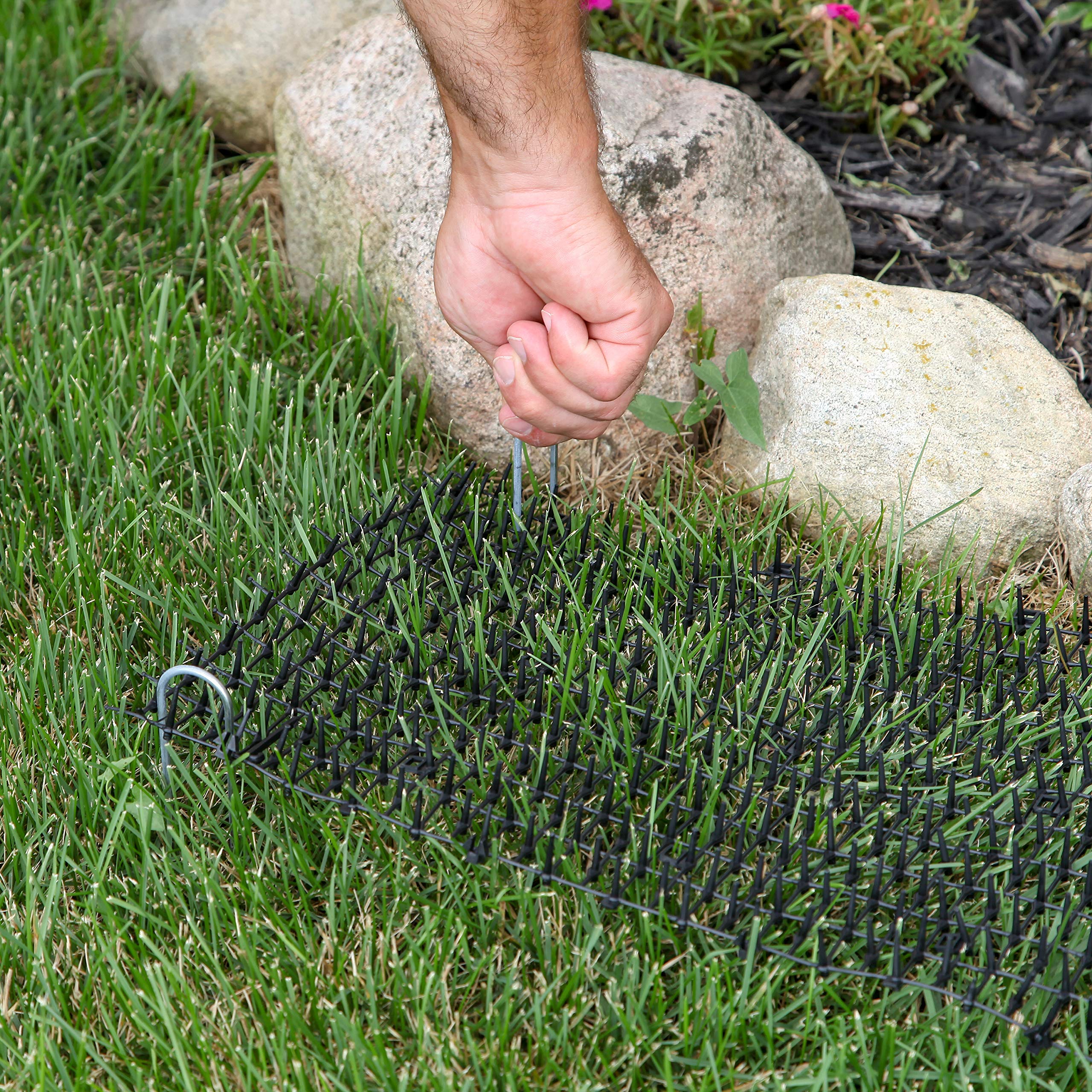 Tapix Cat Scat Mat wrap around tree demonstrates flexible outdoor use.