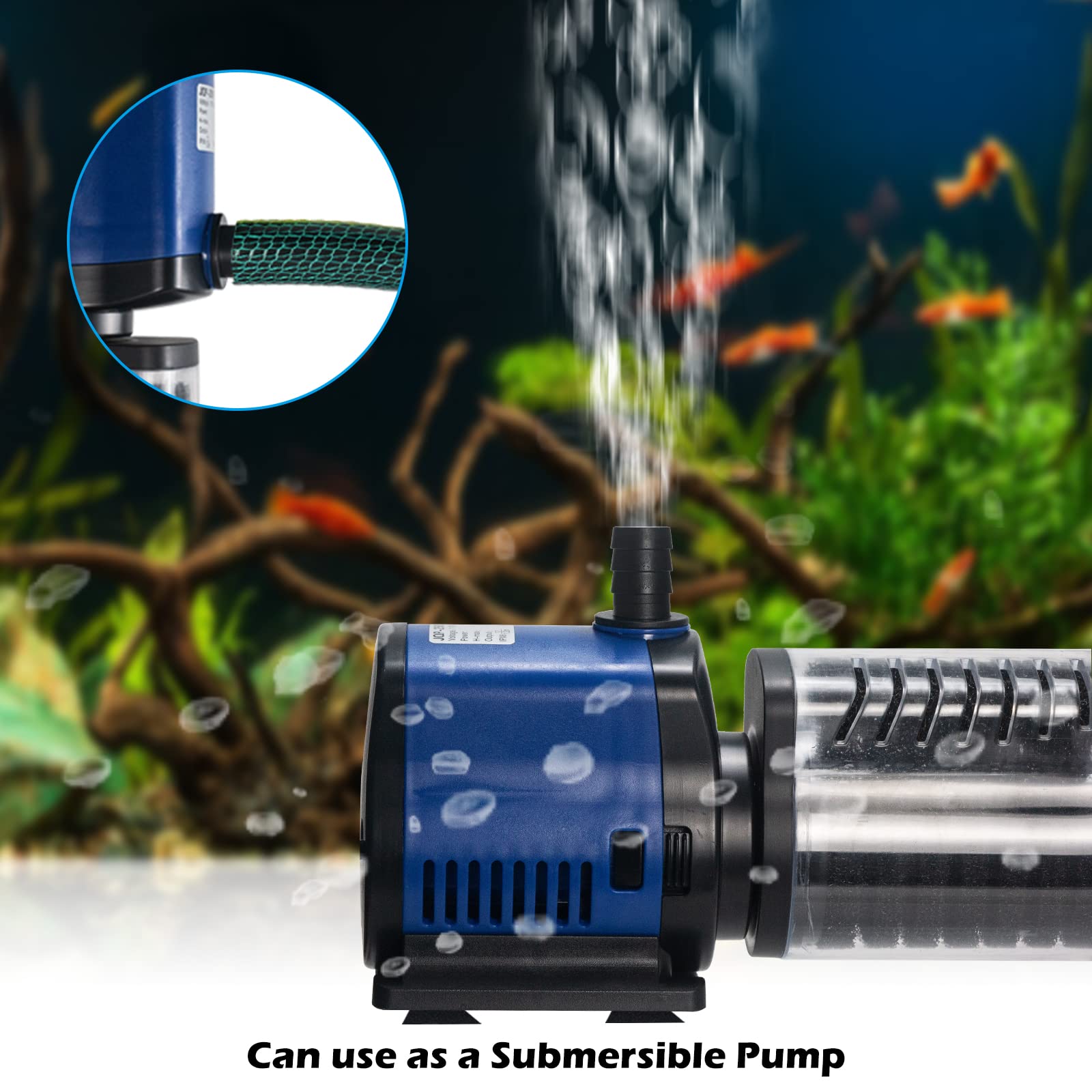 Tararium fountain-ready filter supports decorative water features.