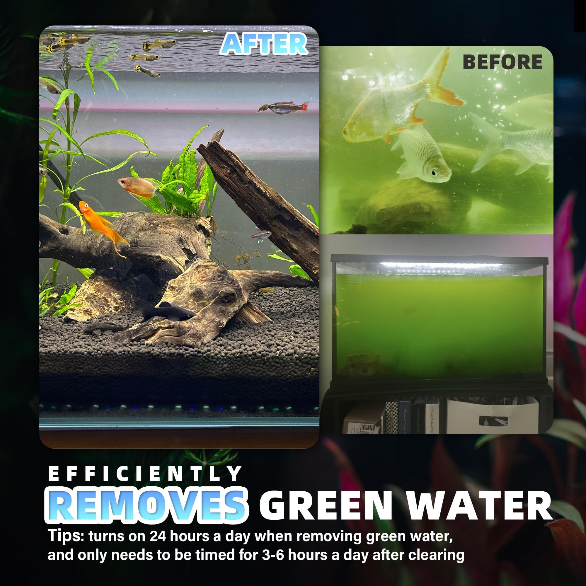 Tararium unit suitable for low water level tanks with 3.6 inch minimum