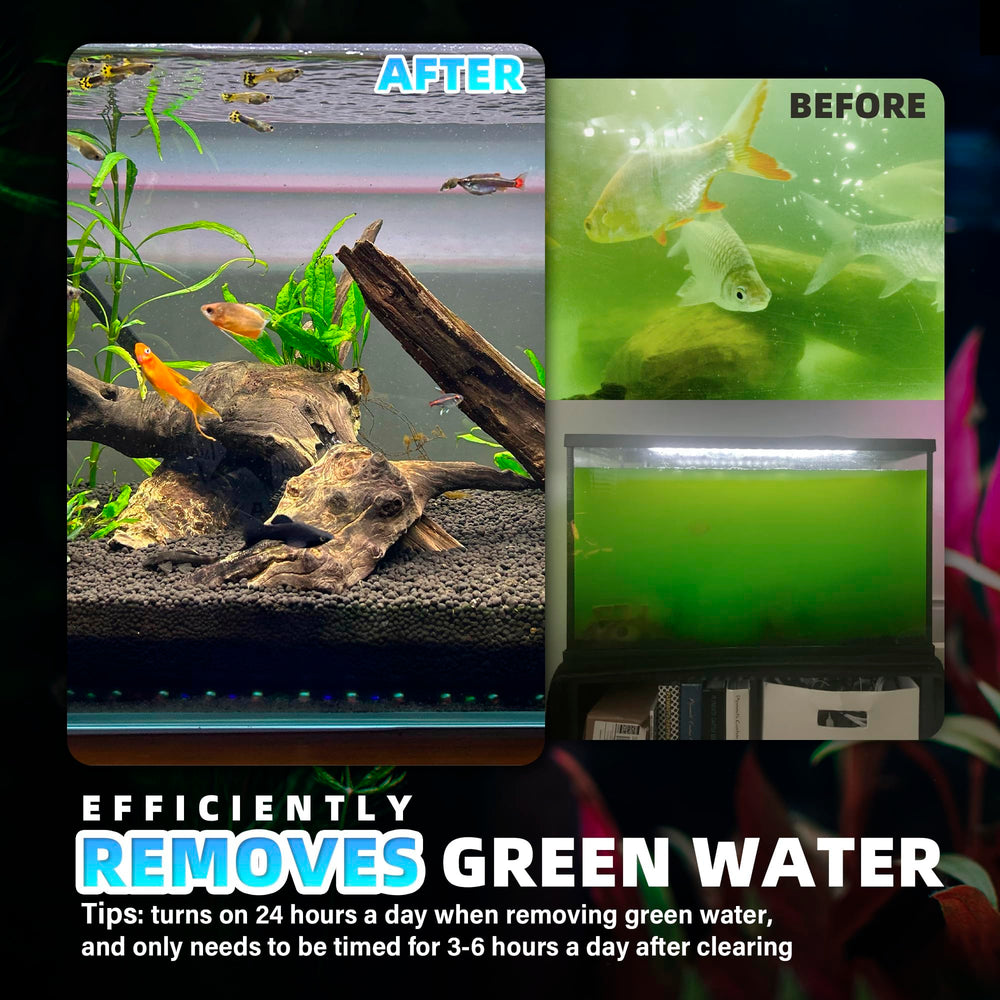 Tararium unit suitable for low water level tanks with 3.6 inch minimum