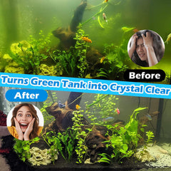 Tararium double-filtration sponge stage enhances water cleanliness
