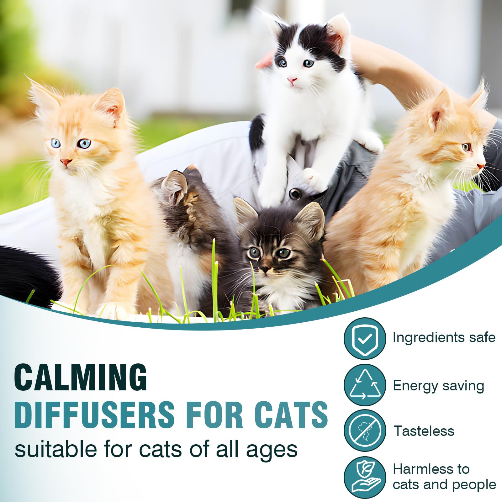 Easy activation of Taraxa cat calming diffuser in a standard outlet