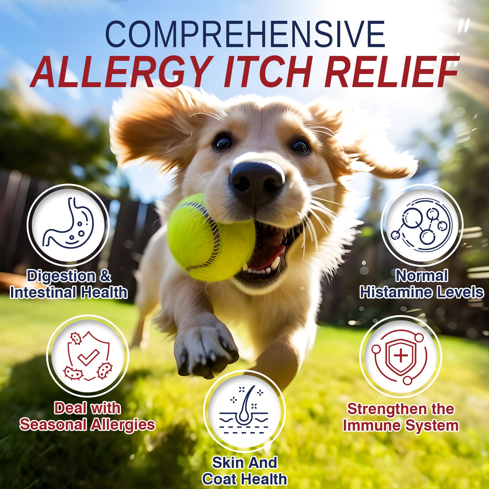 Taraxa Dog Allergy Chews bottle label highlighting ingredients for skin support