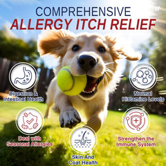Taraxa Dog Allergy Chews bottle label highlighting ingredients for skin support