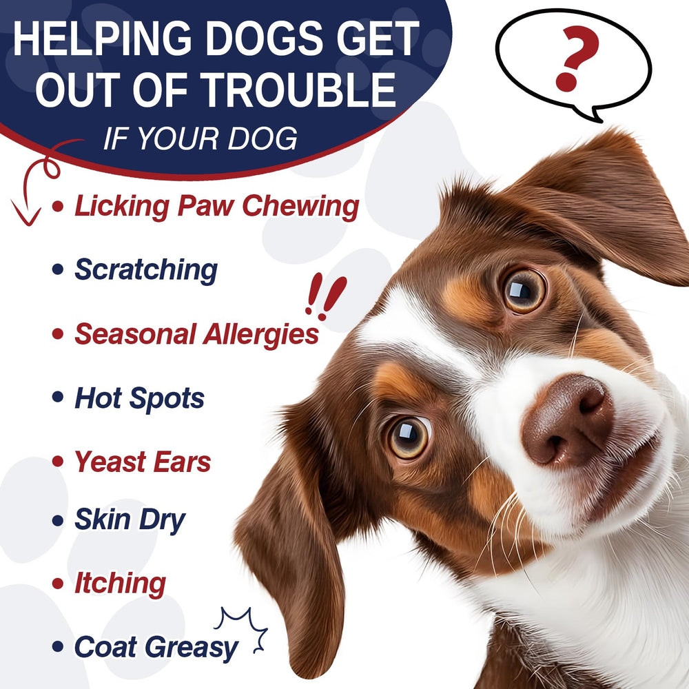 Taraxa Dog Allergy Chews packaging in hand for convenient daily use