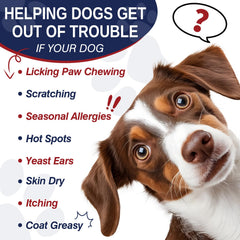 Taraxa Dog Allergy Chews packaging in hand for convenient daily use