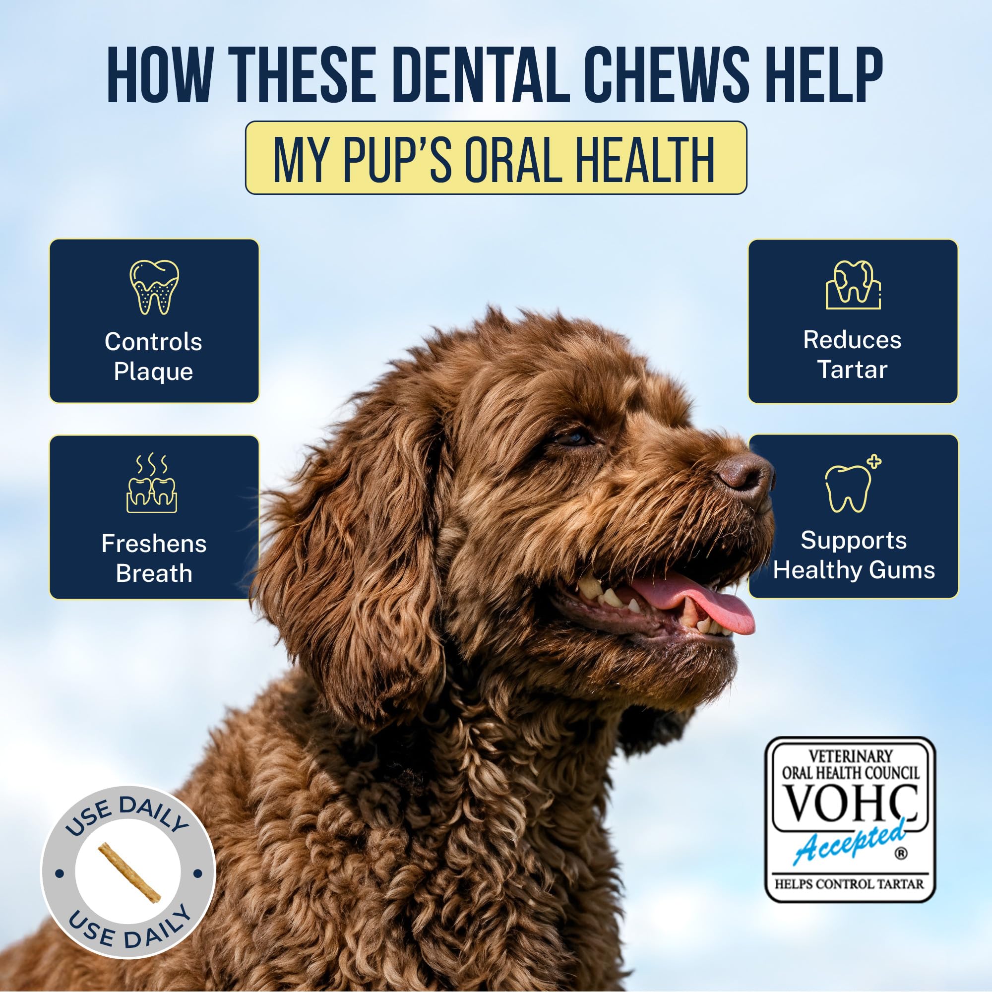 Tartar Shield small dog dental health chews provide gentle chewing
