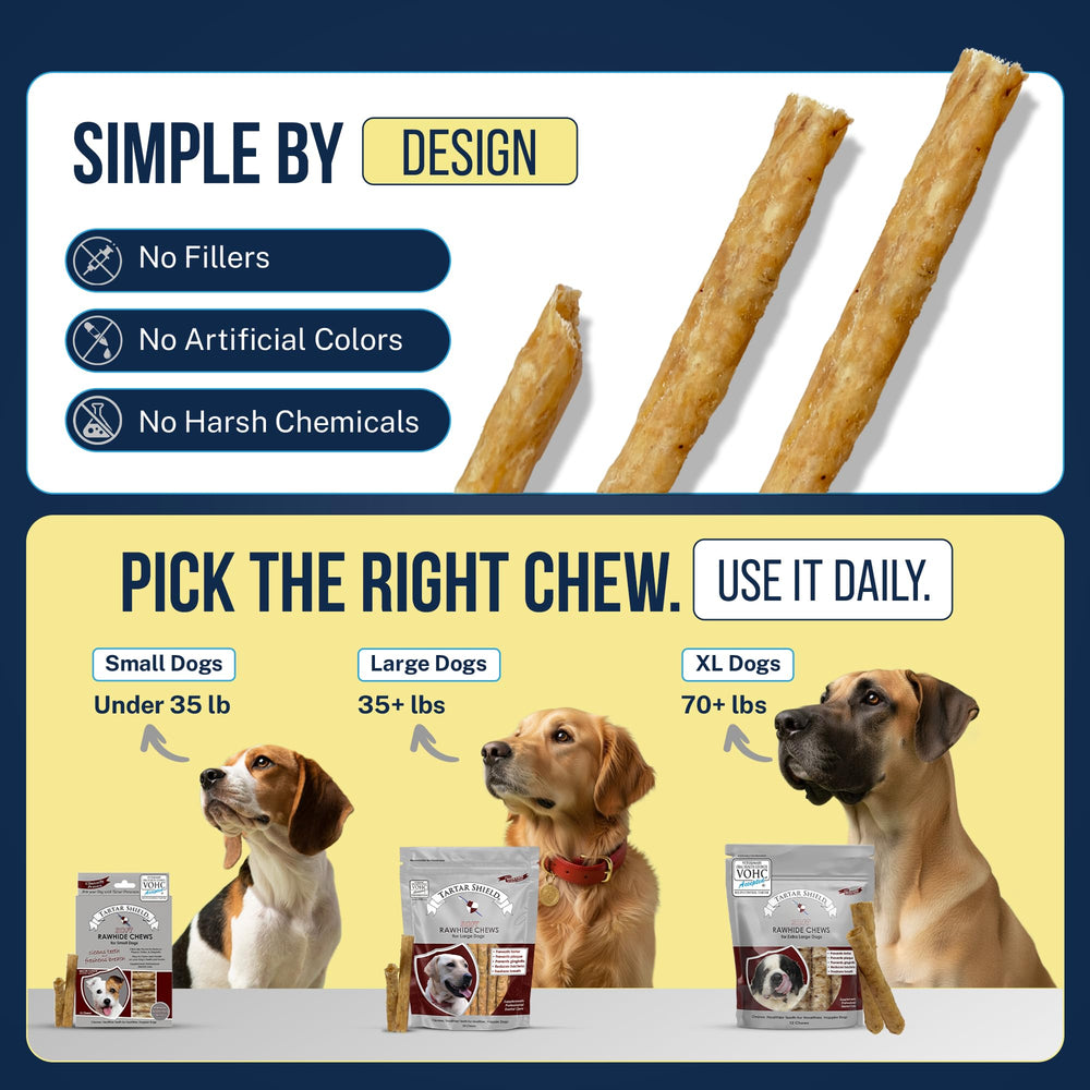Dog chewing scene with Tartar Shield chew, potential to support oral care routine.