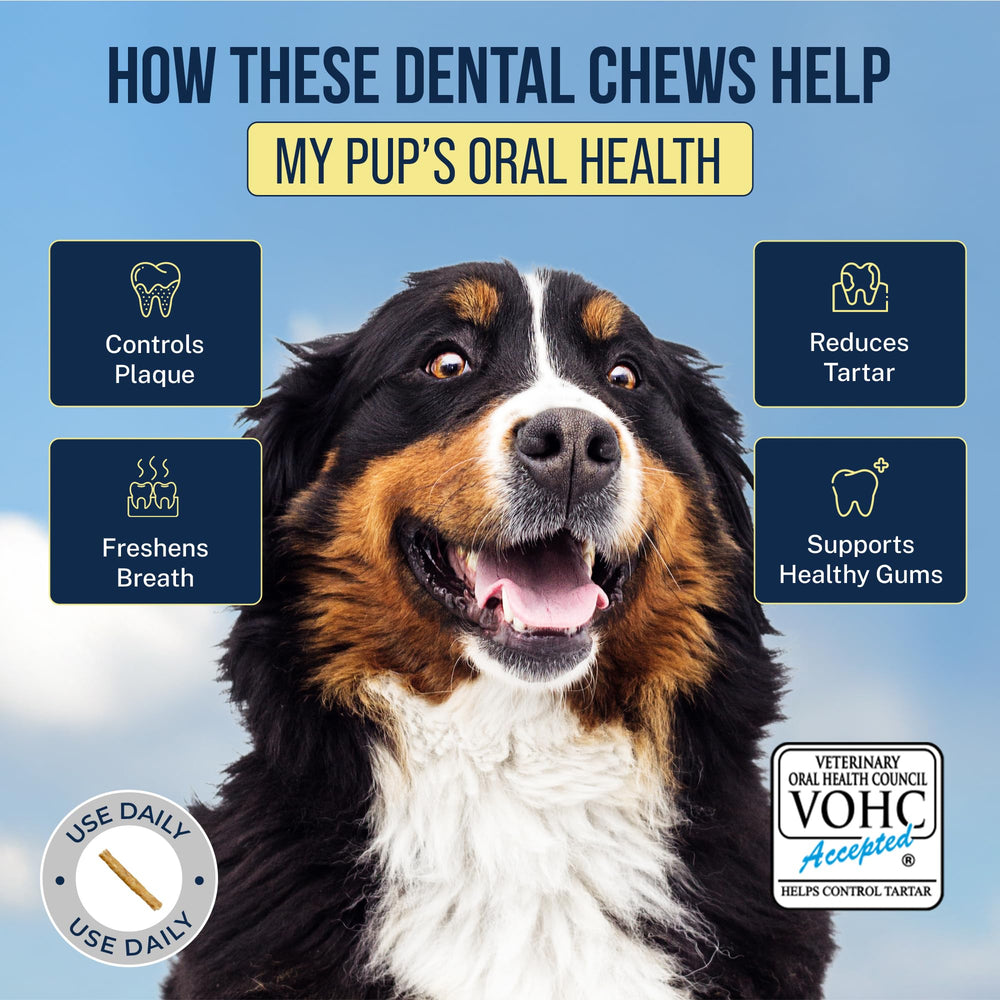 Savory bacon-flavored Tartar Shield rawhide chew for large dogs, flavor throughout.