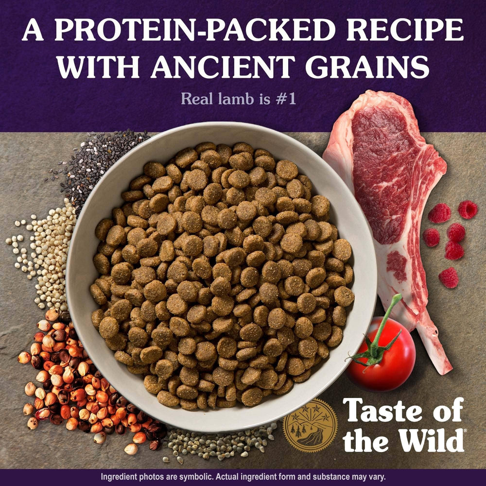 Taste of the Wild ancient grains bowl shows quinoa, millet, chia for balanced energy.