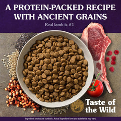 Taste of the Wild ancient grains bowl shows quinoa, millet, chia for balanced energy.