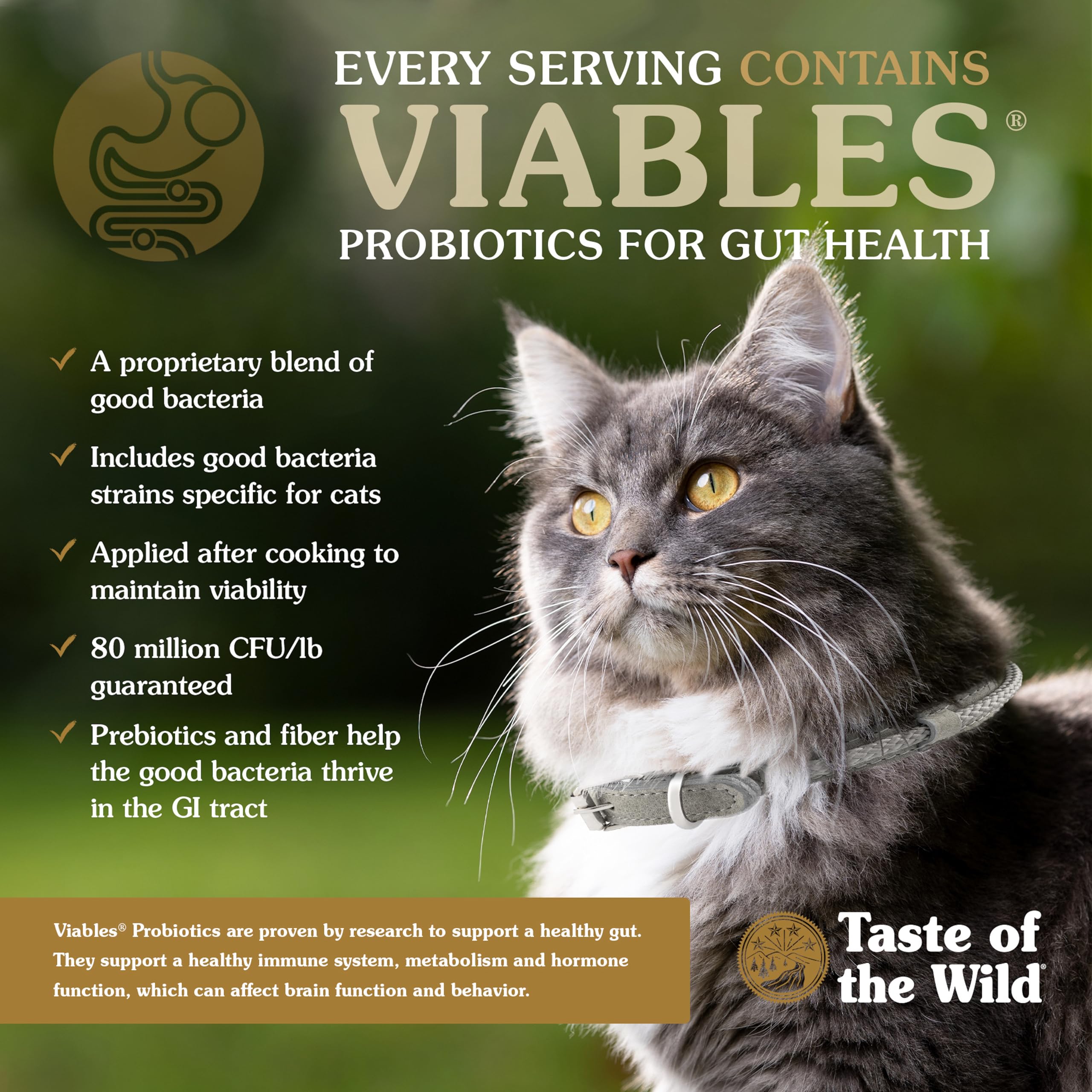Ingredients include fruits and superfoods in Canyon River for antioxidants and nutrients.
