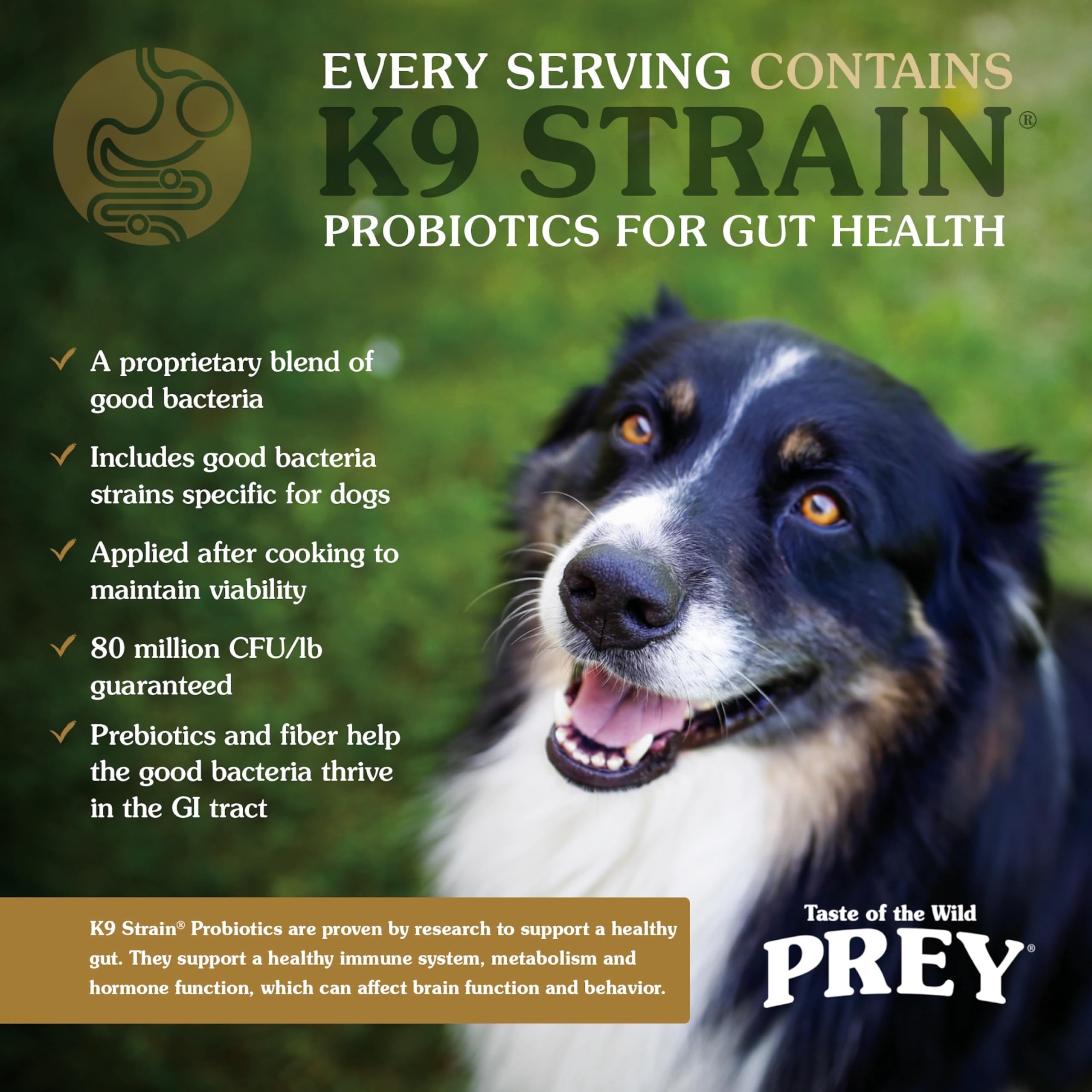 Taste of the Wild four-ingredient diet image underlines simple, digestible nutrition.