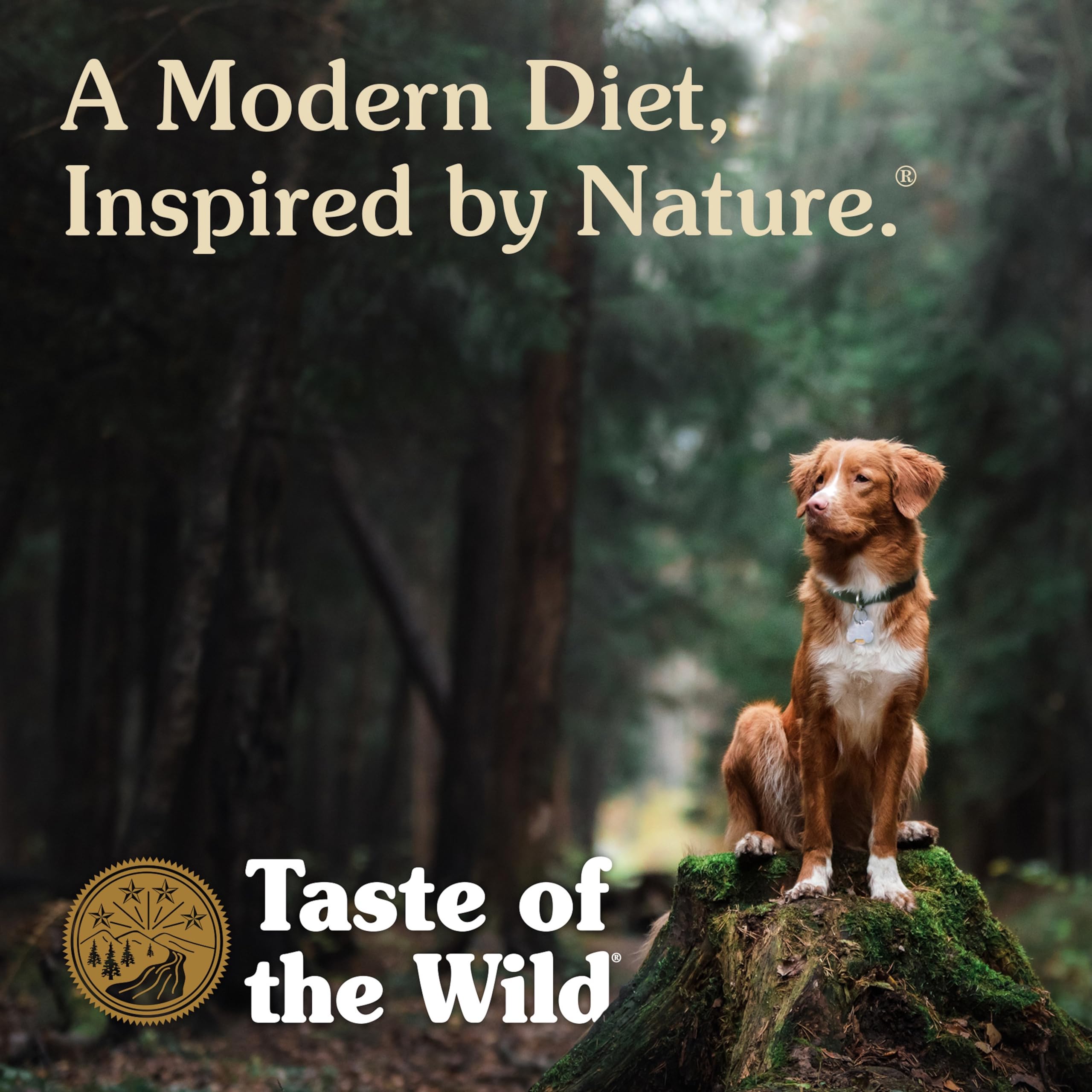 Taste of the Wild Pacific Stream Puppy bag sealed signals freshness and quality.