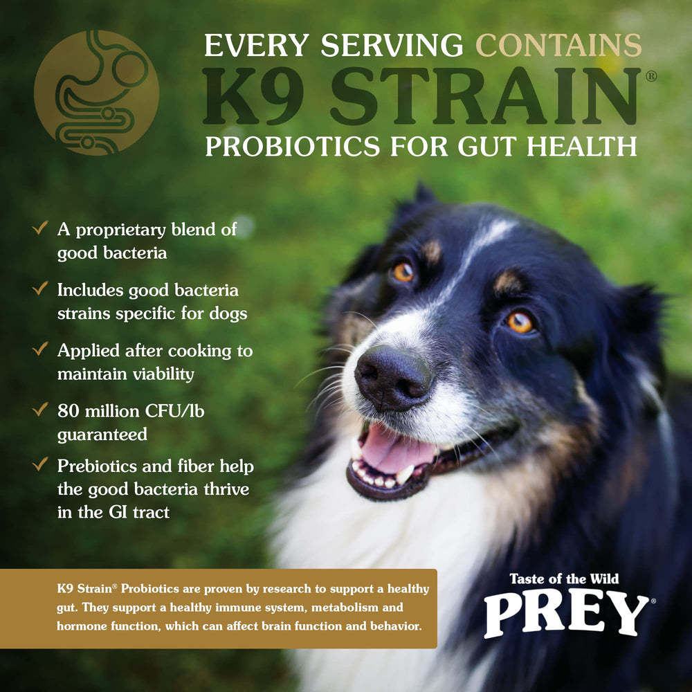 Taste of the Wild PREY grain-free dog food bag on countertop