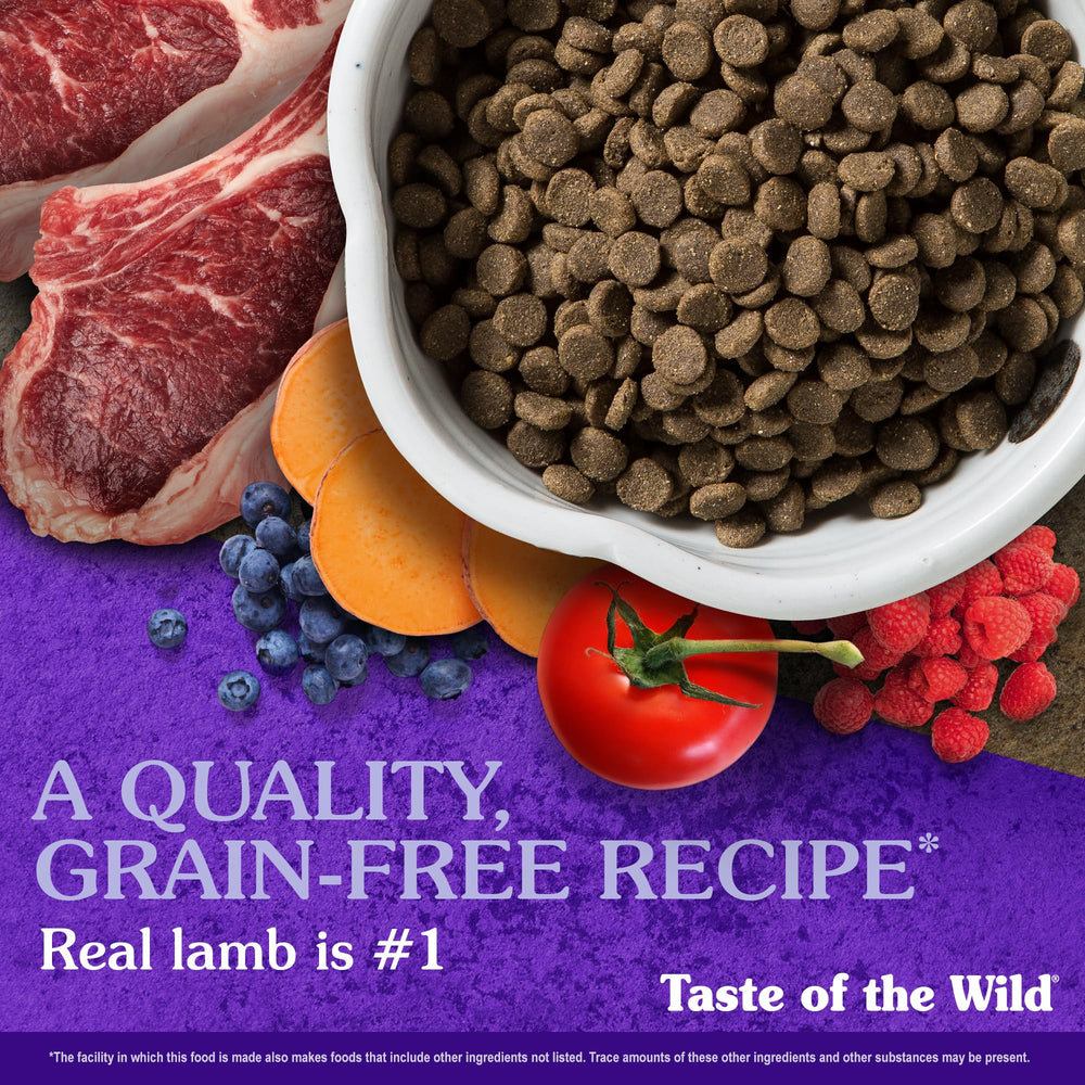 Taste of the Wild Sierra Mountain dog bowl ready to serve a nutritious meal