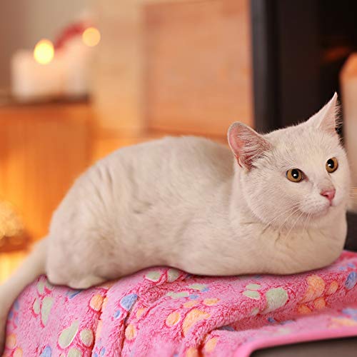Tatuo pet-bed protection blanket, guards furniture from scratches.