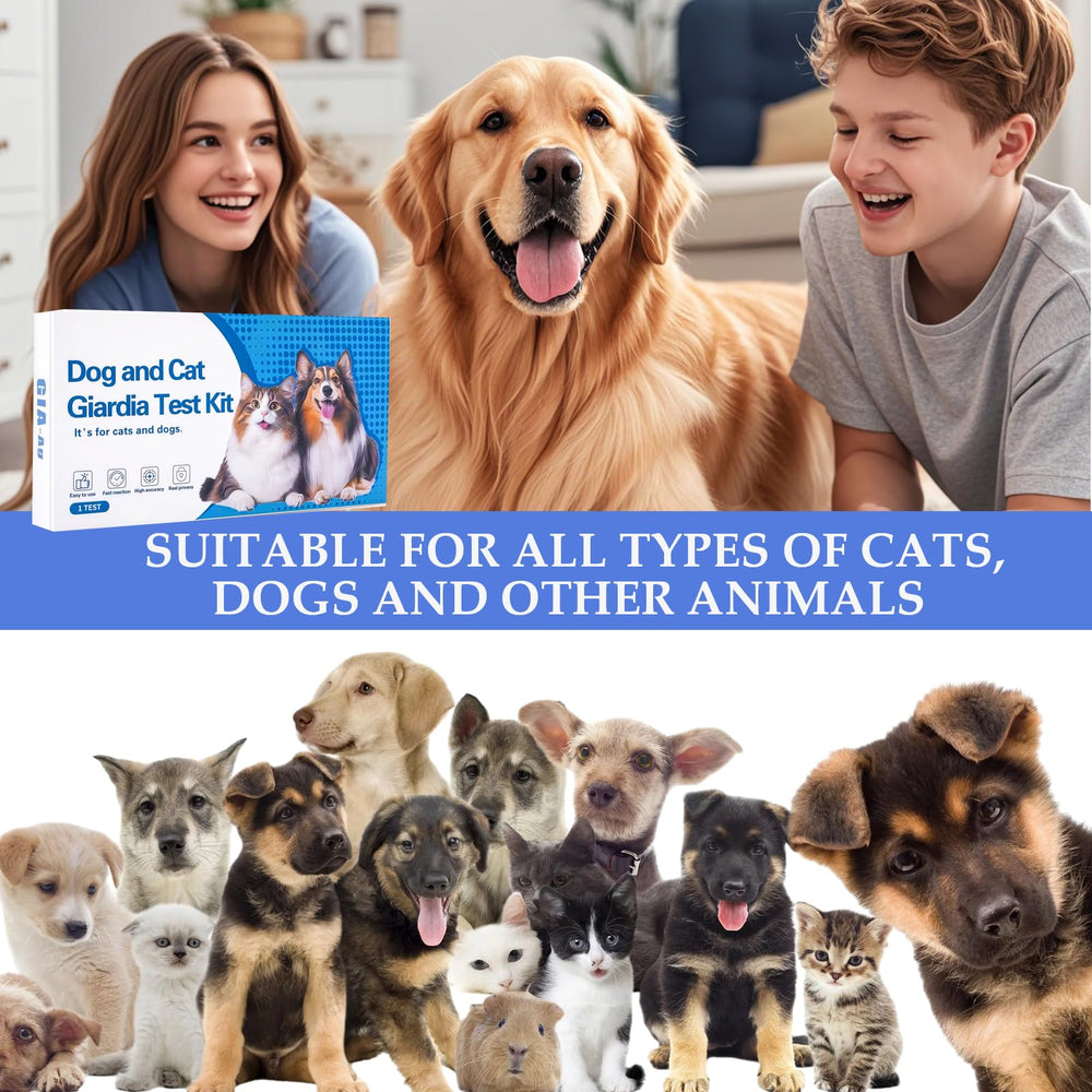 Tauphete Giardia Test Kit collection swab for easy pet sample collection.