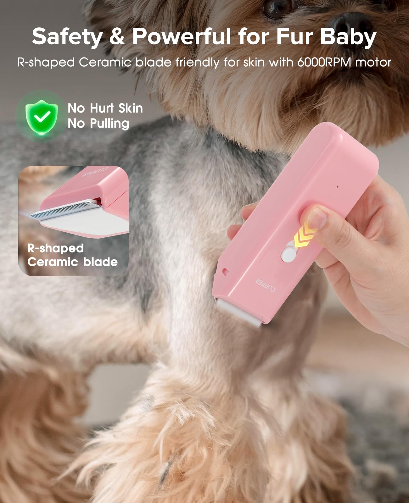 Tawiijou detachable blade for easy maintenance and cleaning