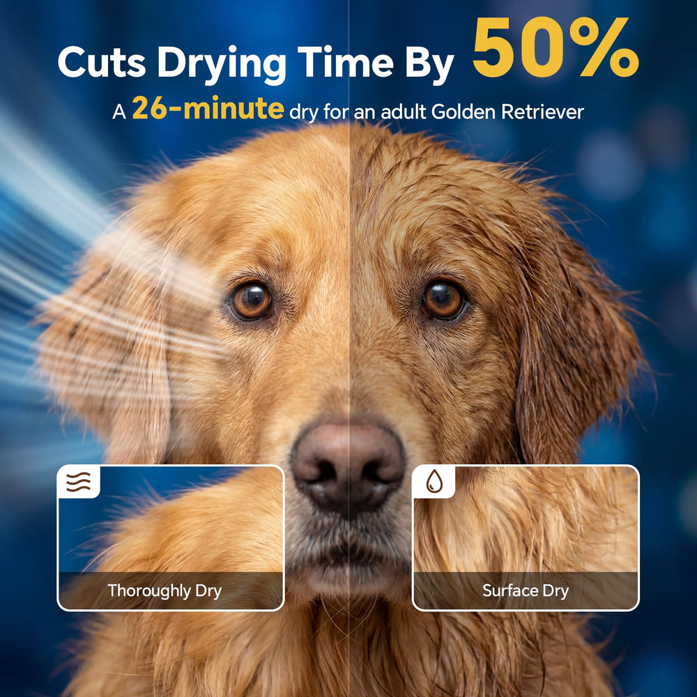 TBC PET dog dryer quiet operation helps anxious pets stay calm