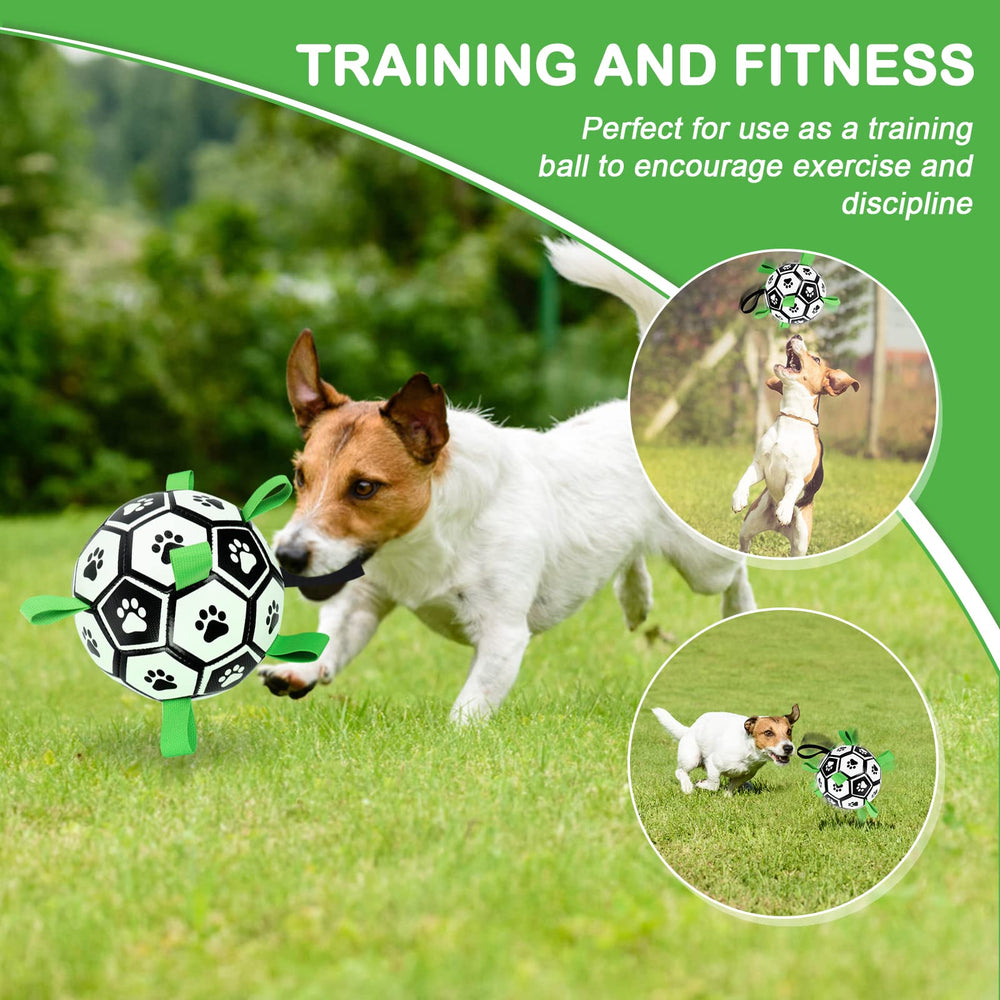 TBC PET dog soccer ball waterproof, perfect for water-based backyard fun.