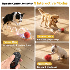 TBC PET Interactive Dog Ball passive mode demonstrating rapid bounce for energetic dogs