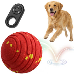 TBC PET Interactive Dog Ball remote control in action for engaging playtime