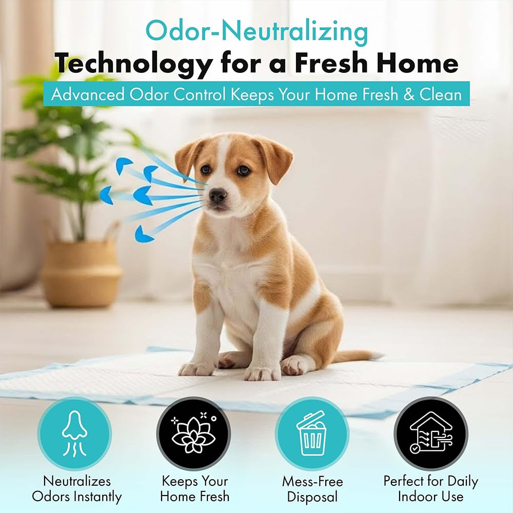 TBM pads suitable for puppies, cats, and rabbits.