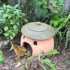 Tbpro terracotta habitat: durable, waterproof pottery for year-round use.