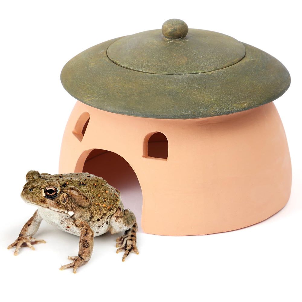 Tbpro terracotta reptile cave with green lid offers a weatherproof hiding retreat.