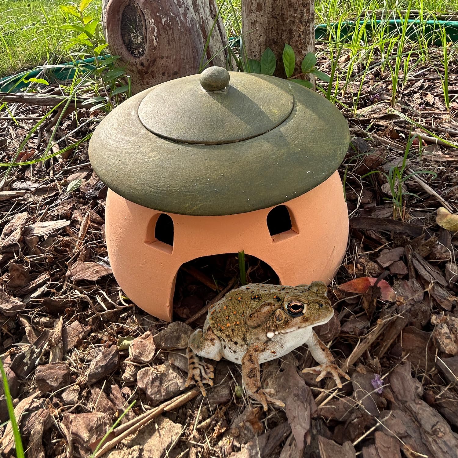 Tbpro terracotta shelter: a thoughtful garden gift for reptile lovers.