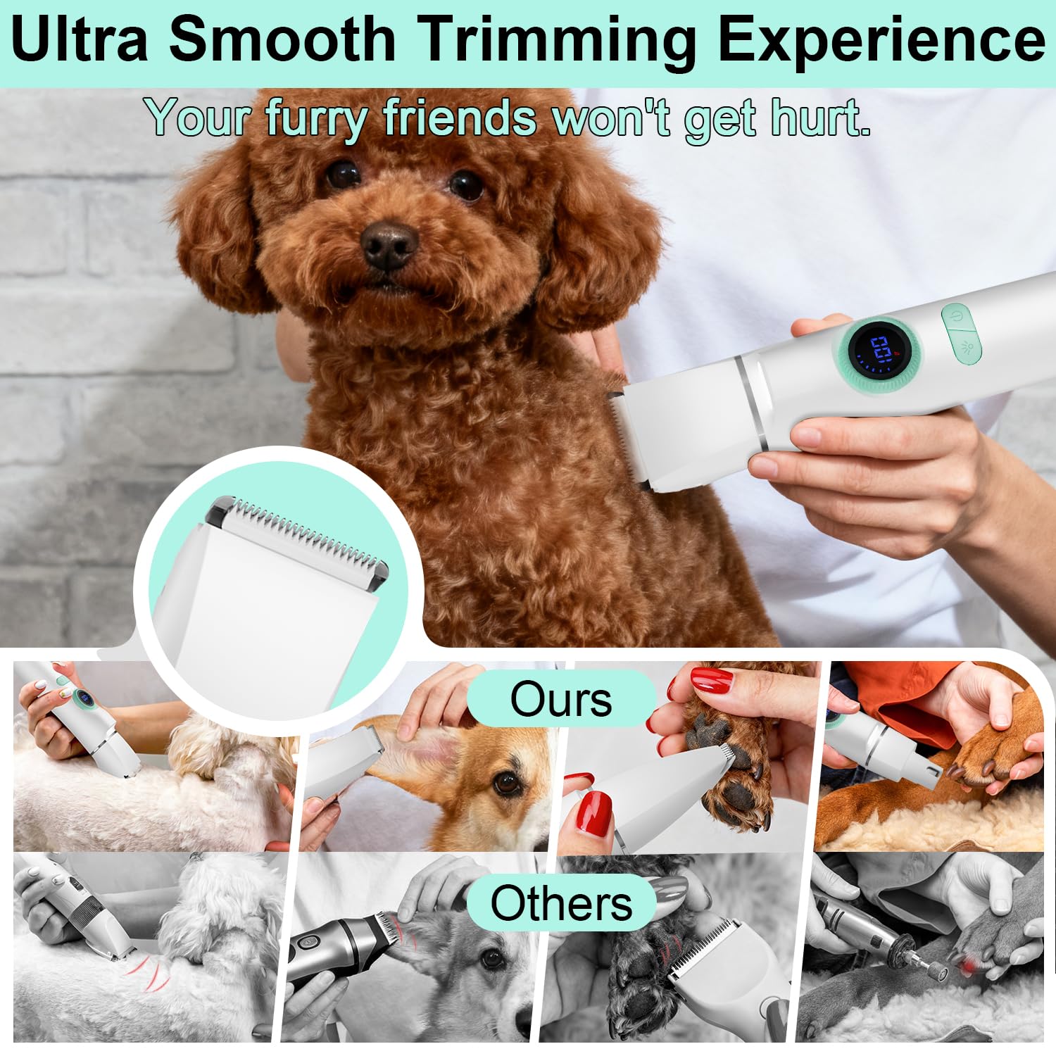 TBTeek grooming kit accessories include tools for easy upkeep