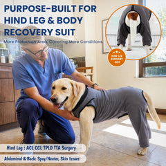 T'CHAQUE suit provides belly and back protection for healing dogs
