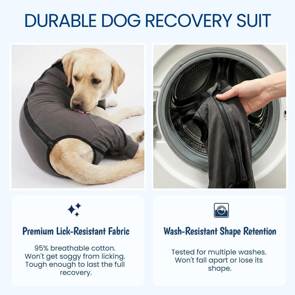 Versatile design supports male and female neuter/spay recovery