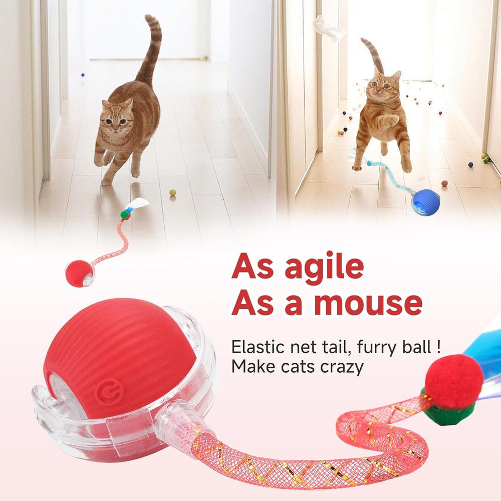 Tchernt motion-activated cat ball for interactive play