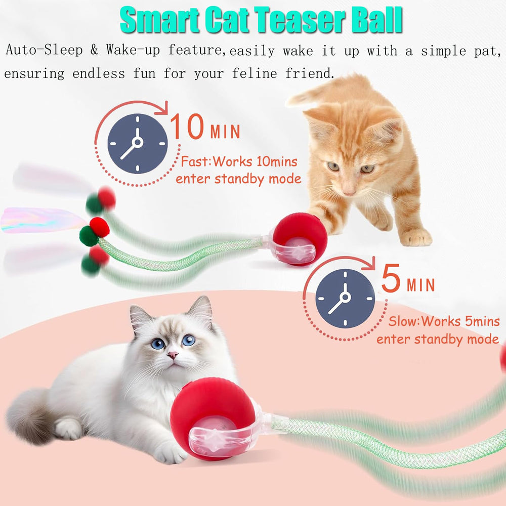 Tchernt Speed 2.0 Tail cat ball rolling on carpet for fun