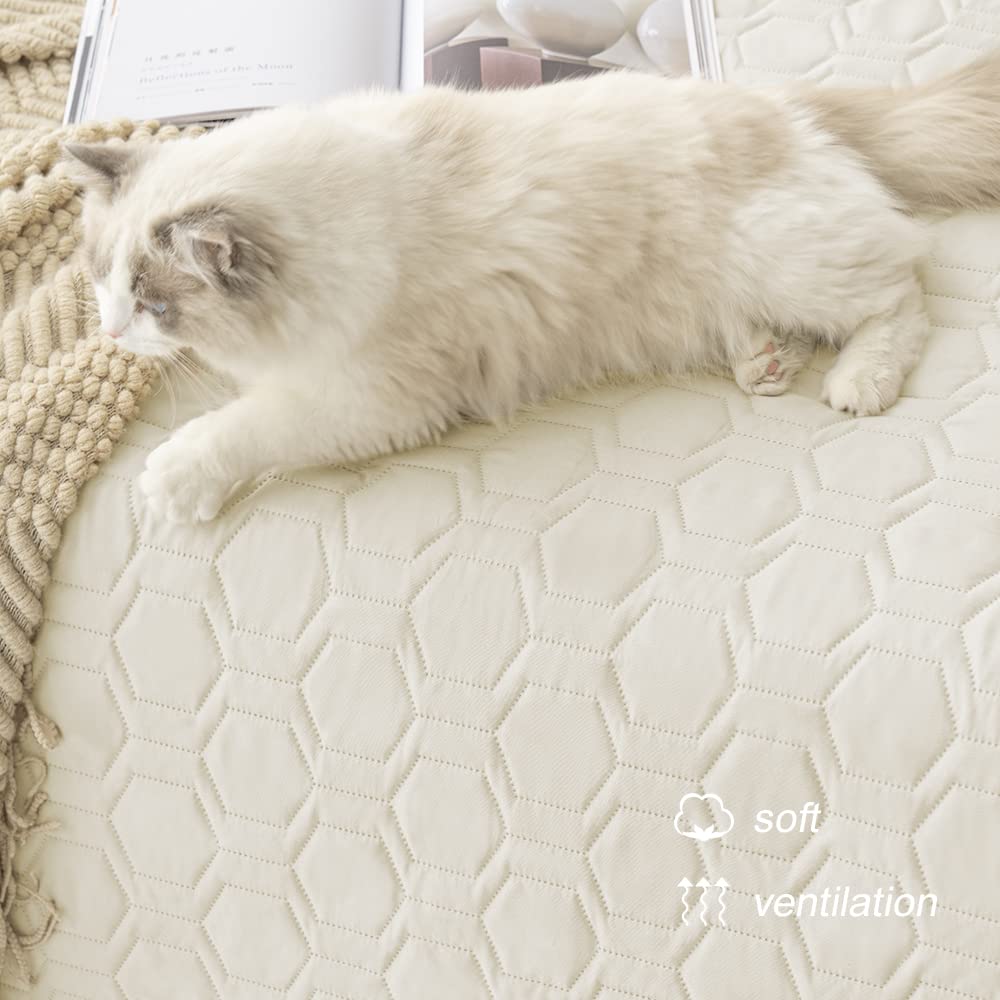 Tcksstex furniture protection for sofa against spills, saliva, and scratches.