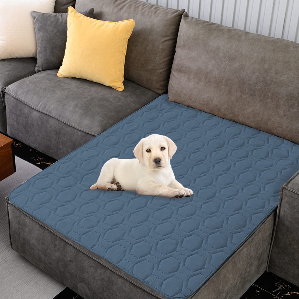 Tcksstex blanket used as a multifunctional pet mat outdoors