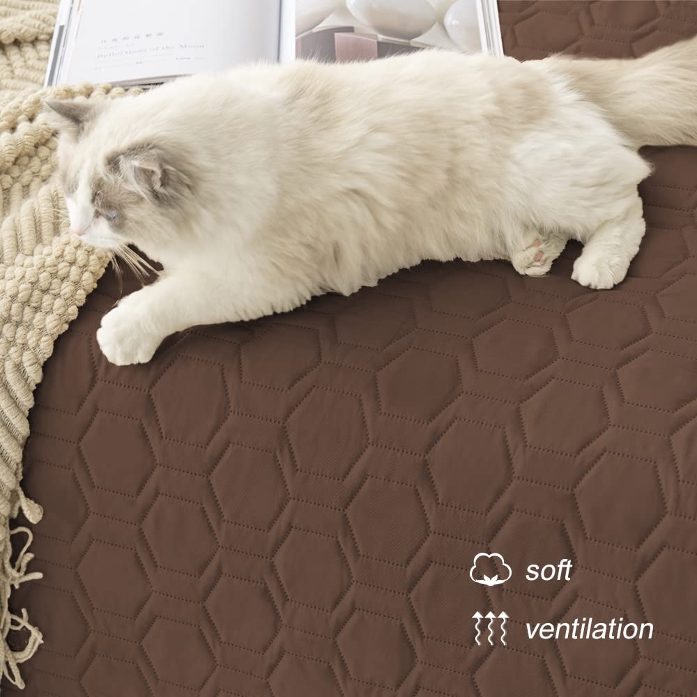 Tcksstex pet bed cover 52x82 protects beds and chairs.