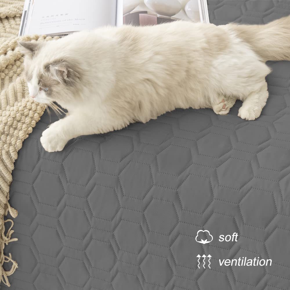 Tcksstex versatile pet blanket used as outdoor mat and travel companion
