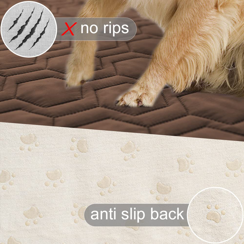 Tcksstex sofa protector guards against bites and saliva during lounging.