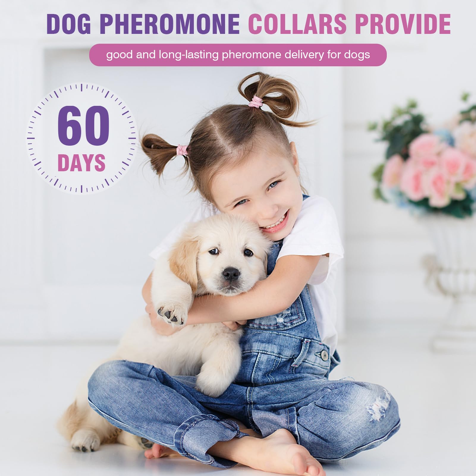 Tcllka calming collar on a dog's neck—continuous pheromone release for steady calm