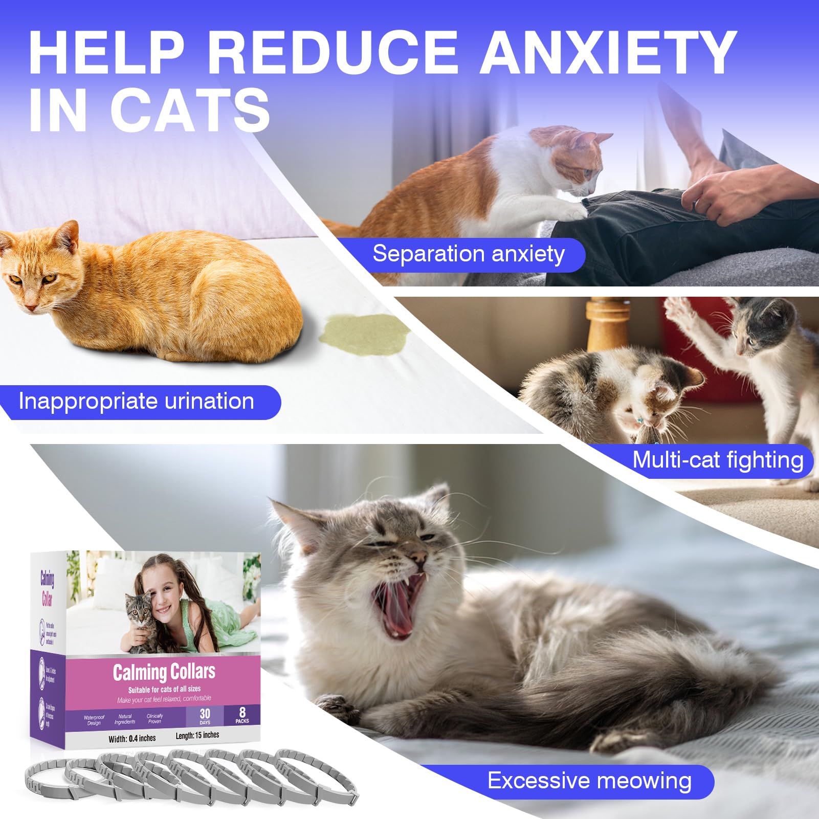 Cat wearing Tcllka waterproof calming collar during rainy outdoor activity.